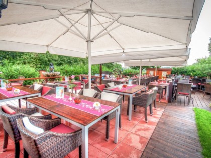 照片: Taverna Olympia