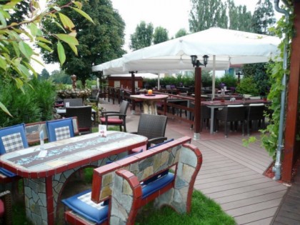 照片: Taverna Olympia