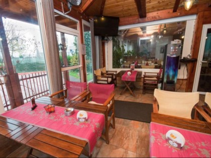 照片: Taverna Olympia